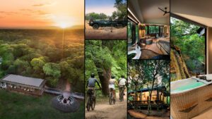 Zulu Zen Reborn andBeyond Phinda's Sand Forest Safari Experience Zulu Zen Reborn andBeyond Phinda's Sand Forest Safari Experience